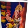 WhatsApp Image 2026-05-13 at 10.49.44 AM Ready to Press DTF Transfer Sheets for Bulk T-Shirt Printing | Full Color Direct to Film Transfers for Clothing Brands and Promotional Wear(MOQ- 1 METER)(PRICE IS ALSO FOR 1 METER 23*39INCH)